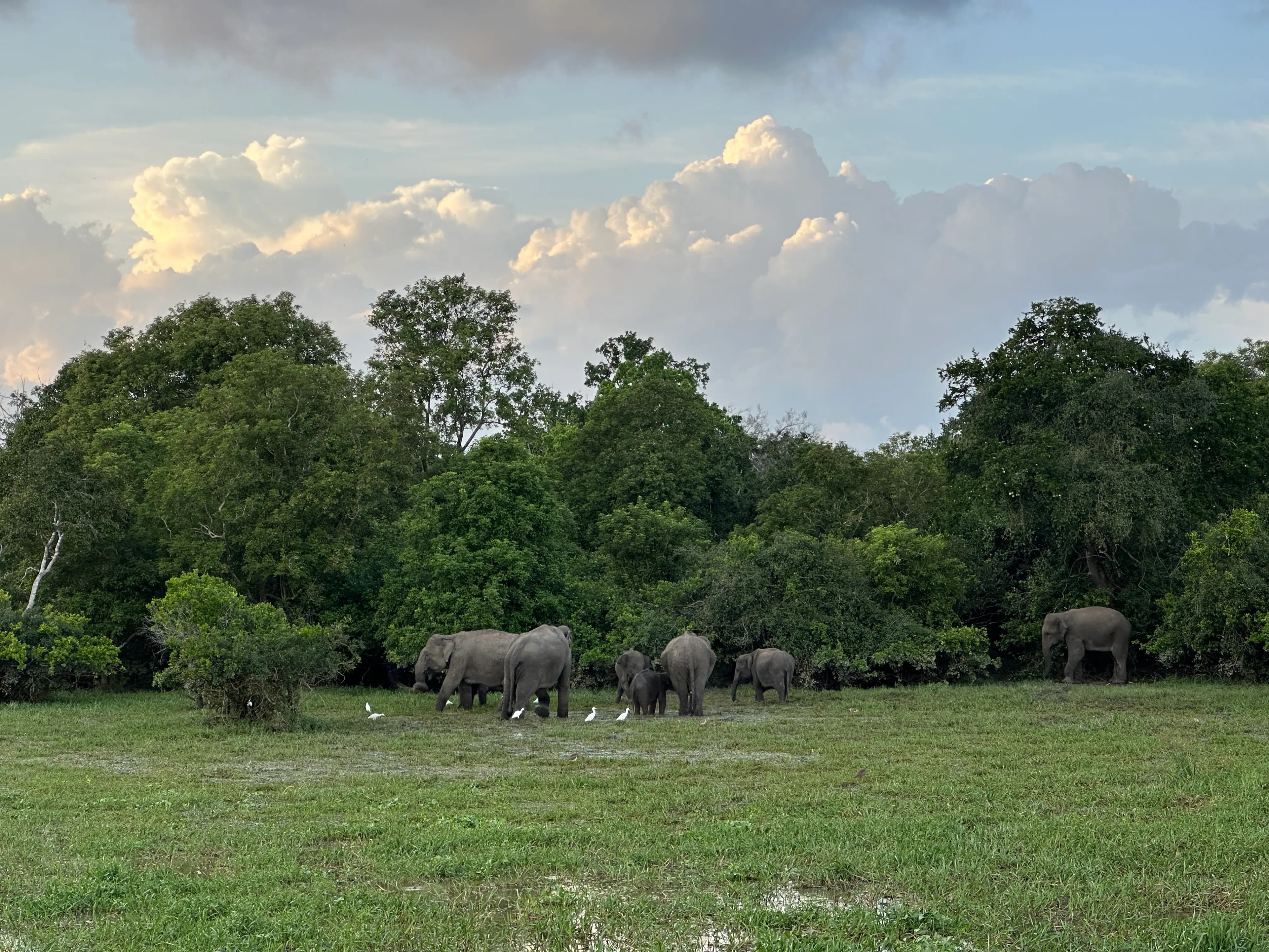 Lahugala National Park Entrance